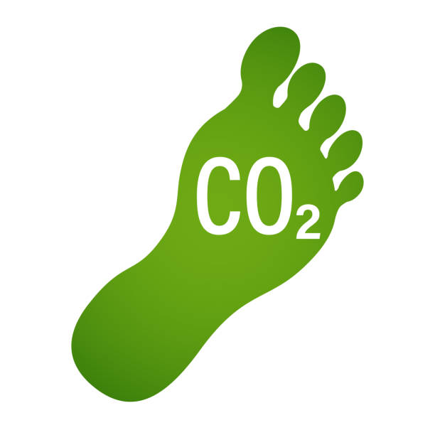 istock CO2 ecological footprint symbol green eco icon 1181622838