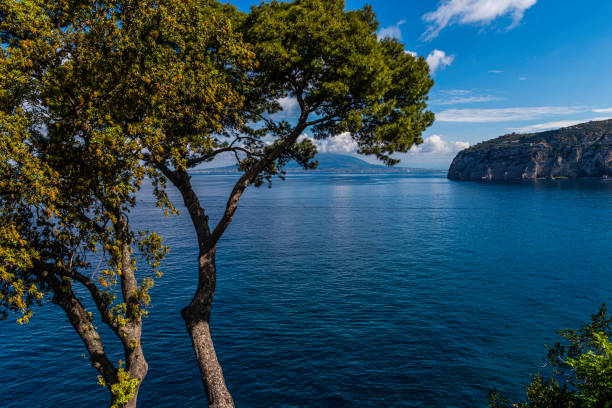 Mount Vesuvius viewed through the trees from Sorrento