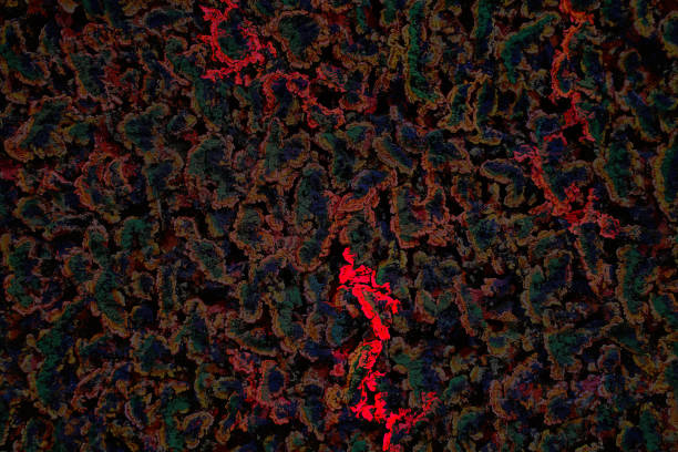 istock Shapes abstract. Colorful Abstract Expressionism. 1181624526
