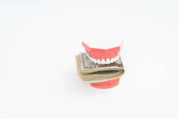 istock Dental model with US dollar 1181624706