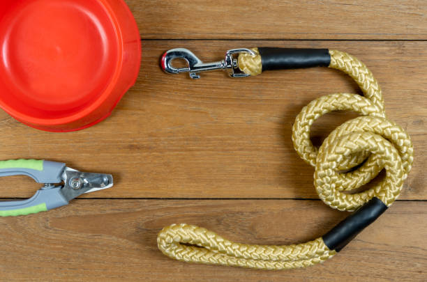 istock Pet leashes and plastic bowl and nail scissors on wooden table 1181627201