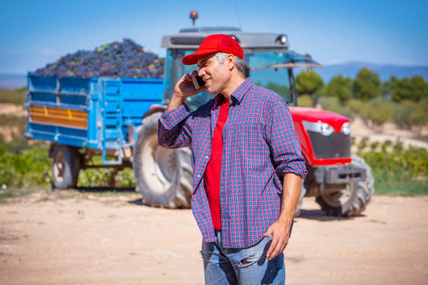 istock winemaker vineyard owner talking phone in grape harvest 1181629311