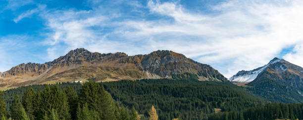 가을에는 푸른 소나무 숲과 눈 덮인 봉우리와 함께 산풍경 파노라마 - schwarzhorn 뉴스 사진 이미지