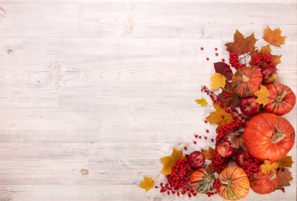 istock Thanksgiving background. Autumn harvest 1181634560