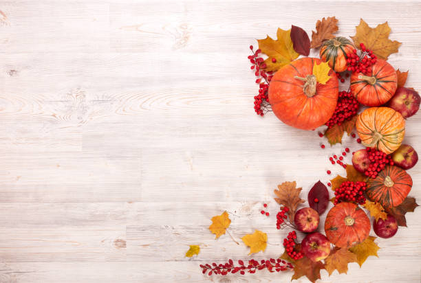 istock Thanksgiving background. Autumn harvest 1181634575