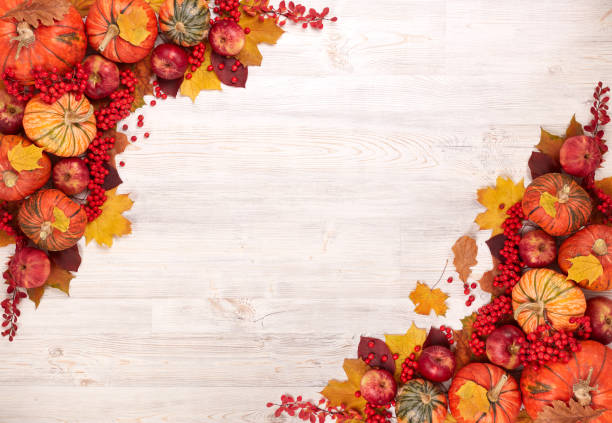 istock Thanksgiving background. Autumn harvest 1181634625
