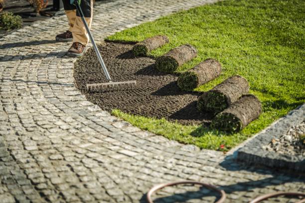 istock Garden Grass Turfs Installation 1181641044