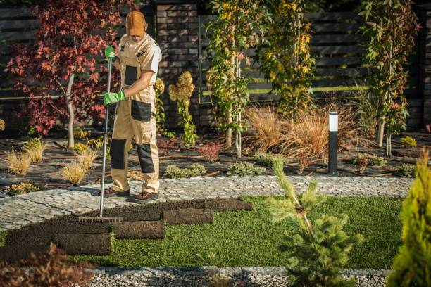 istock New Garden Grass Turfs 1181641235