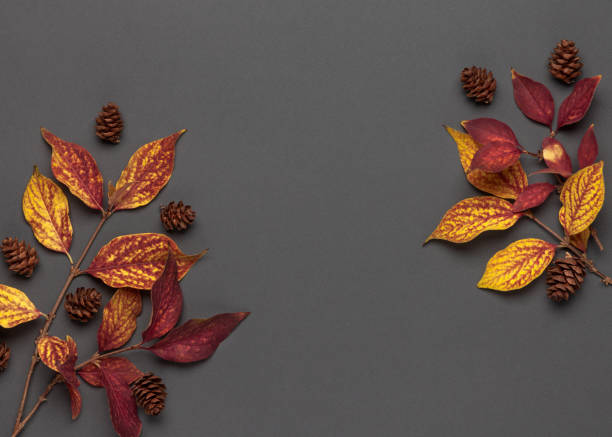 istock Autumn frame. Autumn leaves, pine cones. 1181641949