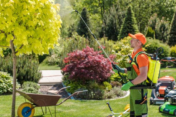 istock Seasonal Garden Fertilization 1181642018