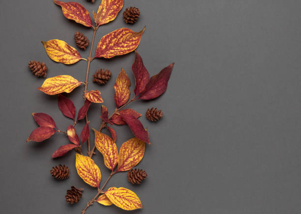 istock Autumn frame made of Autumn leaves, pine cones. 1181642054