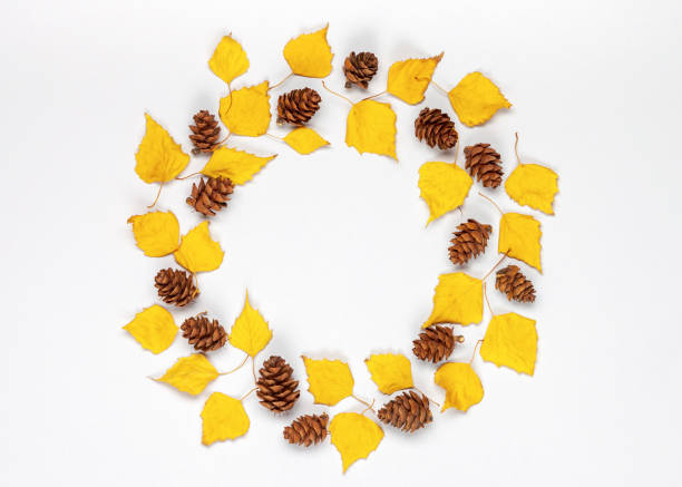 istock Autumn wreath. Yellow leaves, pine cones. 1181642240