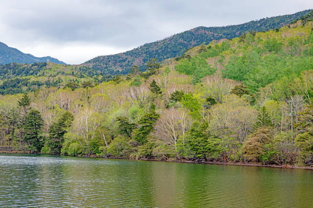 istock Yunoko Lake 1181642488