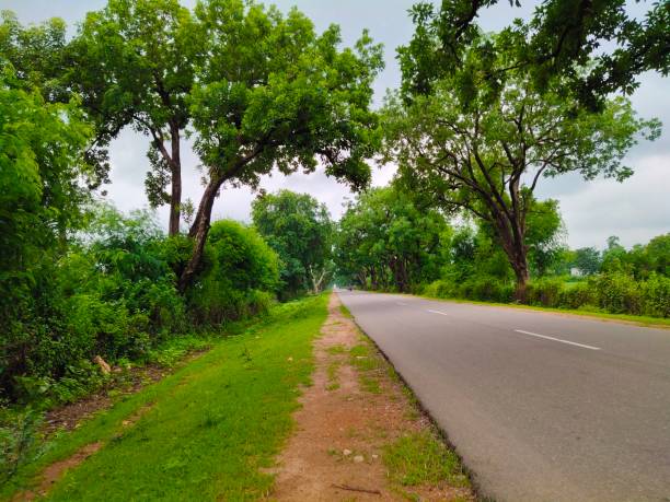 istock Beautiful asphalt road with green trees 1181643934