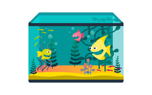 Colorful Fish Bowl Illustrations, Royalty-Free Vector Graphics & Clip Art -  iStock
