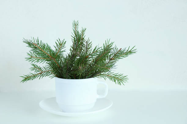 istock Christmas tree branches in a white cup on a saucer on a white background. 1181647310