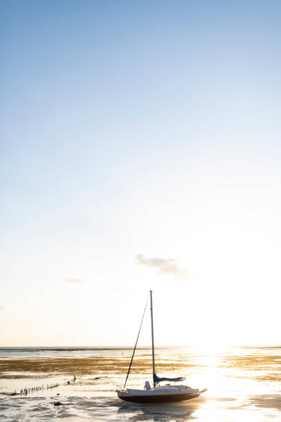 istock Small yacht beached on sand bank at low tide 1181648211