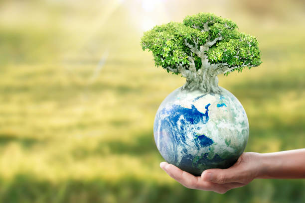 istock Globe ,earth in hand, holding our planet glowing. Earth image provided by Nasa 1181650094