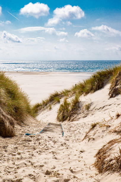 istock Path to the beach at Amrumer Lighthouse 1181651477