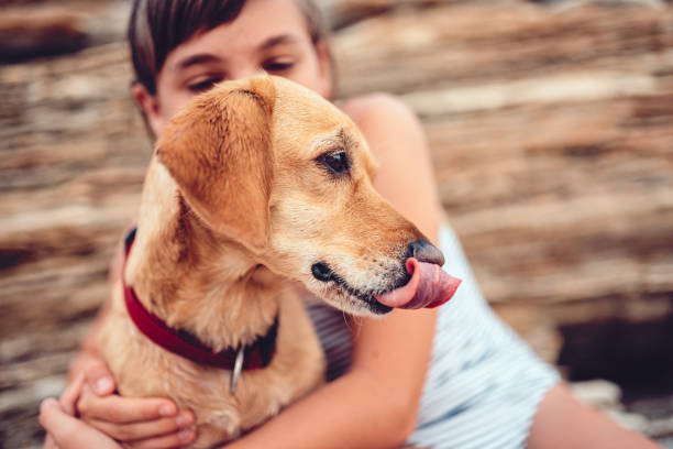 cão de abraço da menina ao lamber seu nariz - sticking out tongue animal tongue teenage girls licking - fotografias e filmes do acervo