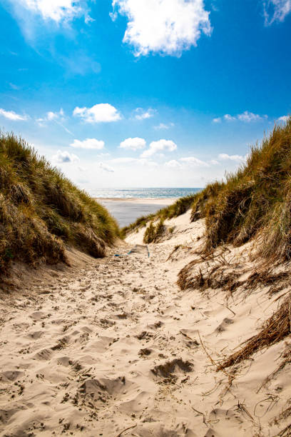 istock Path to the beach at Amrumer Lighthouse 1181652879
