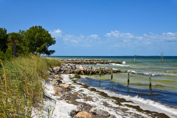 Stone Jetties on Island Stone Jetties on Anna Maria Island to minimize beach erosion from rising tides in Tampa Bay view into land stock pictures, royalty-free photos & images