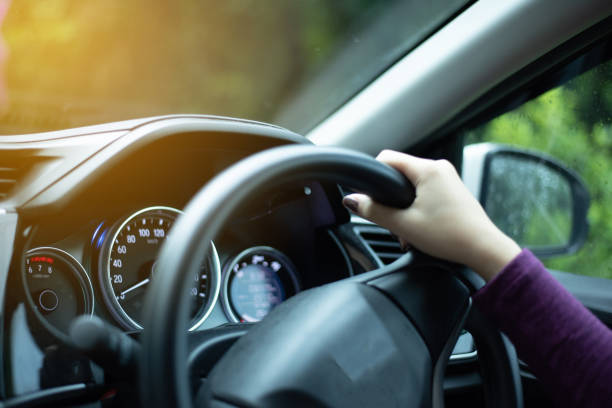 hands on steering wheel on the right with country side view