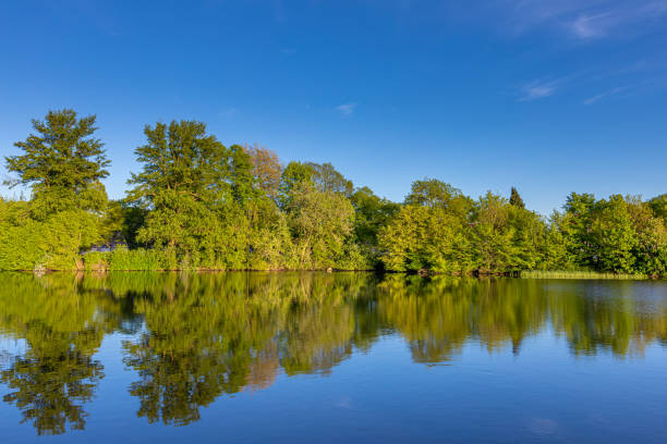 istock Reflections on the lake. Landscape at a lake 1181654759