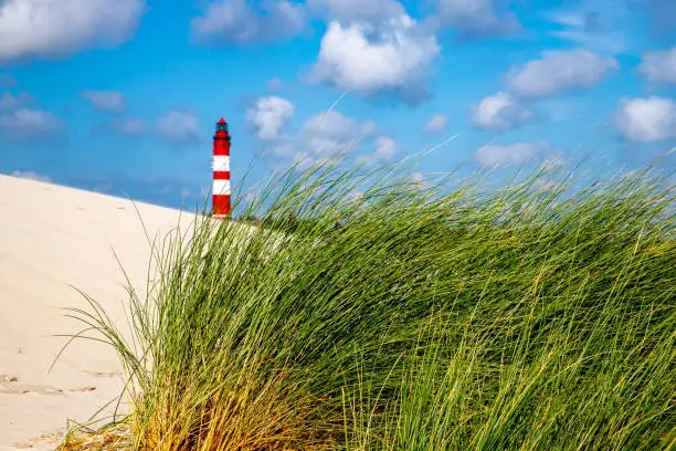 Amrum lighthouse behind dune grass