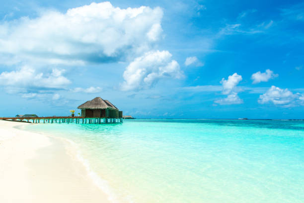 istock Overwater bungalow in the Indian Ocean 1181657558