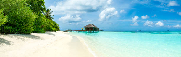 istock Beautiful sandy beach, Maldives island 1181657631