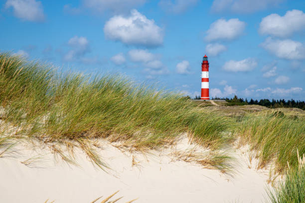 istock View to the Amrum lighthouse from the dunes 1181659176