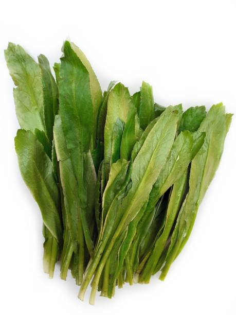 istock Culantro or long coriander isolated on white backgound. 1181660424