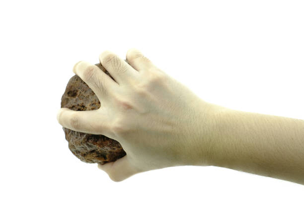 крупным планом рука держит камень изолированы на белом фоне - throwing stone human hand rock стоковые фото и изображения