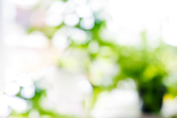 istock Natural green background, the bokeh effect 1181664723