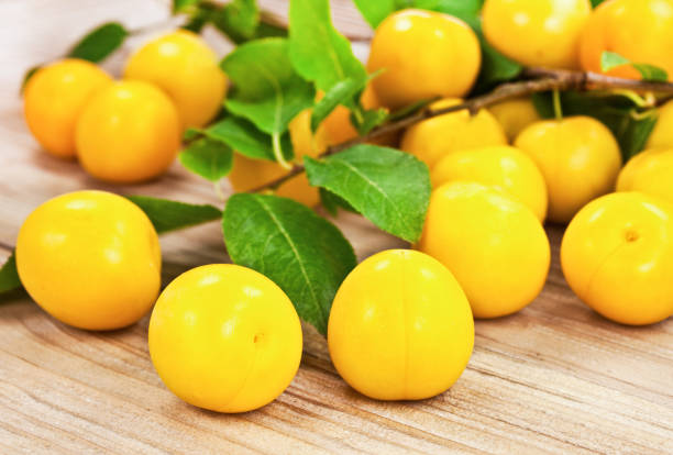 Mirabelle plum yellow plums close up