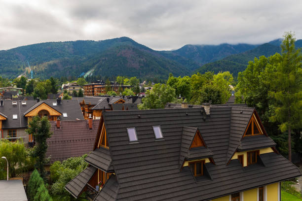 istock Mountain view in the fog in summer 1181665084