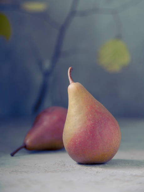 istock Two brown and red pears with tree branch and yellow leaf on blue background. 1181665108