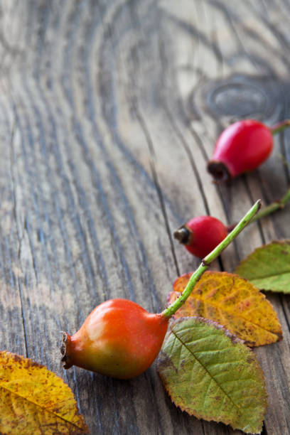 istock Rose hips and wooden background 1181665381