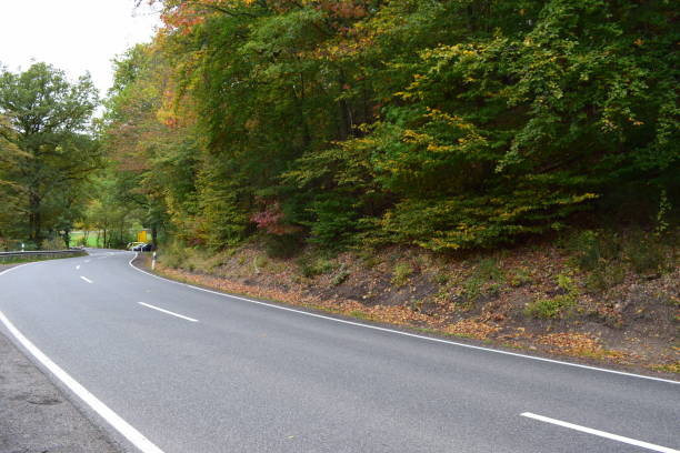 istock country road, autumn in the Eifel 1181667672