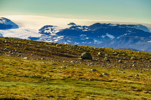 istock Hardangervidda mountain plateau landscape, Norway 1181667963