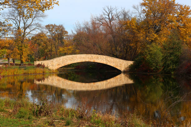 istock Beautiful fall landscape with a bridge in the city park. 1181669730