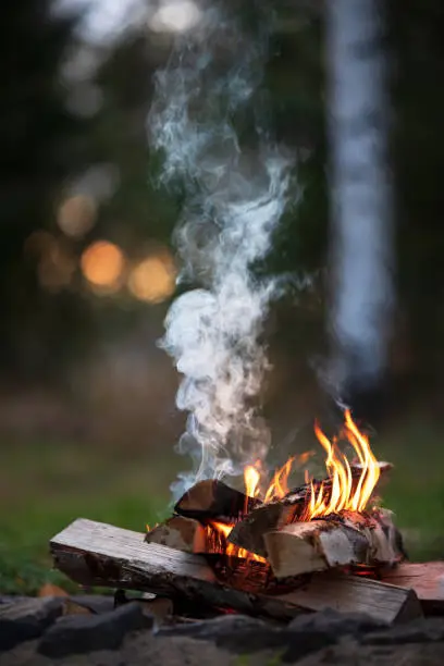 Photo of Burning campfire