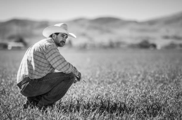 istock Farmer checking his crop - Black and white 1181670515