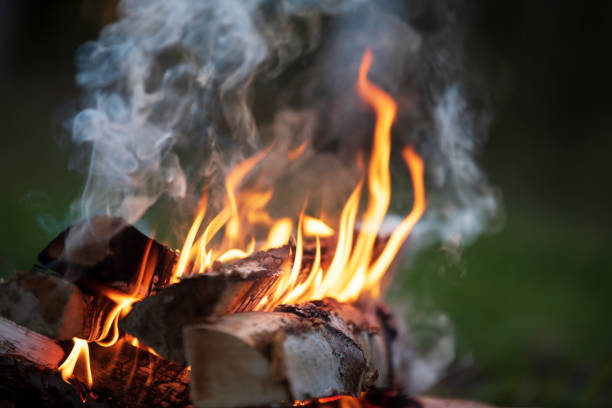 istock Burning campfire, flames and smoke 1181670553
