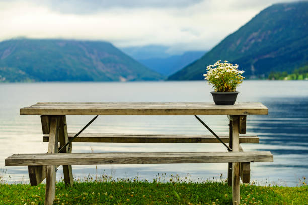 istock Rest stop area picnic site on fjord shore 1181670734