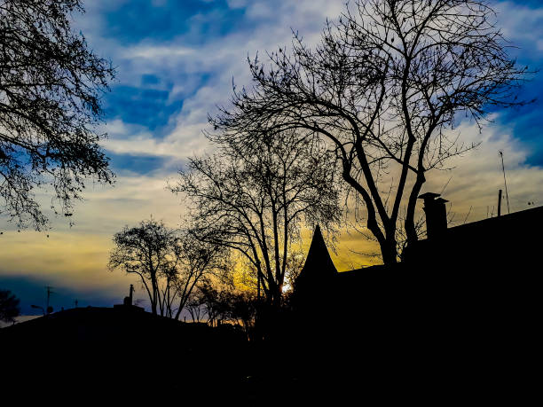 High contrast silhouette sunset scene urban landscape at montevideo city, uruguay