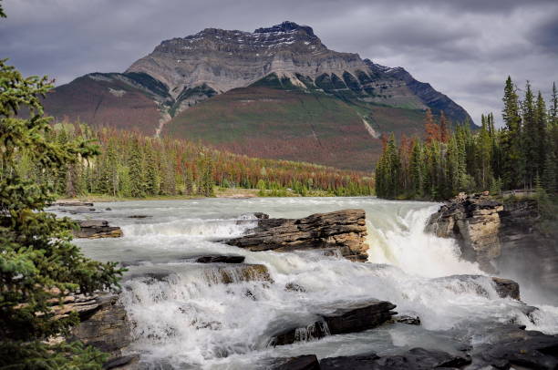 istock Athabasca Falls in Jasper National Park 1181672110