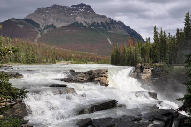 istock Athabasca Falls in Jasper National Park 1181672164