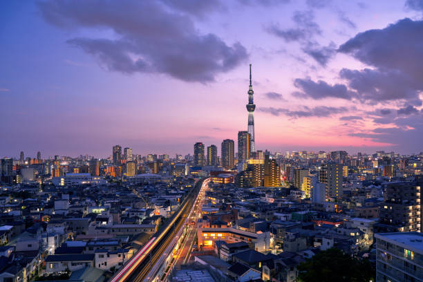 istock TOKYO SKYTREE and Tokyo cityscape 1181674414